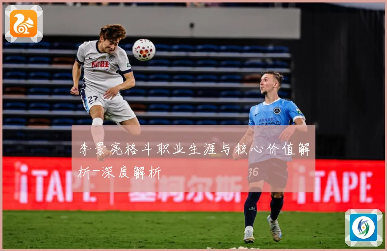 李景亮格斗职业生涯与核心价值解析-深度解析