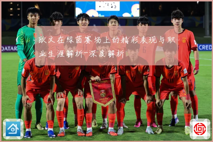 欧文在绿茵赛场上的精彩表现与职业生涯解析-深度解析